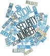 Word cloud for Social Security number