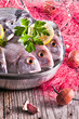 sea bass