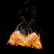 manuscripts do not burn