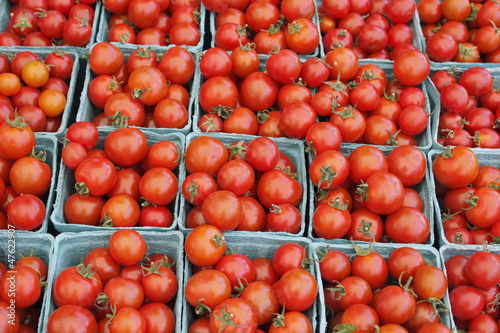 Photo: Pints of Tomatoes for Sale Pints of Tomatoes for Sale