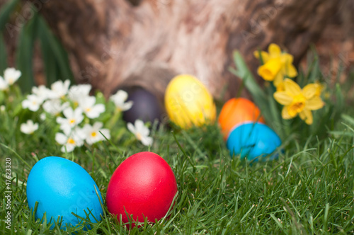 Photo: Easter egs Easter egs