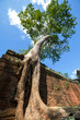 Angkor