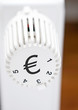 Euro Heizungsregler