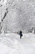 Photo: people walking along the winter street people walking along the winter street