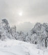 Foto: Winter landscape Winter landscape