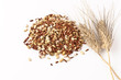 Cinque cereali con spiga