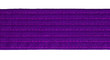 Karate Purple Belt