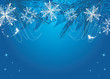 New Year background with snowflakes and Christmas fir tree