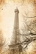 beautiful Parisian streets