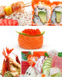 colage sushi