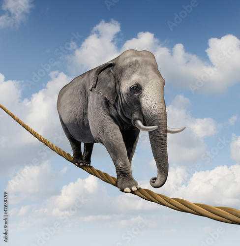 Illustration: Managing Risk Managing Risk