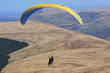 tandem paraglider