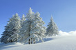 Tief verschneite Winterlandschaft