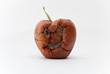 smiling rotten apple