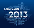 Vector: 2013 carte de voeux 2013 carte de voeux