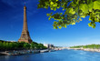 Eiffel tower, Paris. France