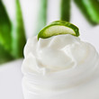 Aloe Vera - Creme