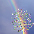 treasure tree