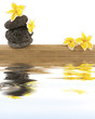 composition zen bien-être détente