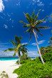 Foto: Tropical scene, Philippines Tropical scene, Philippines