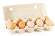 Close up of ten brown eggs in cardboard container isolated