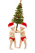 Photo: Kids present Christmas fir tree as New year gift Kids present Christmas fir tree as New year gift