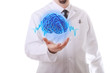 Photo: The human brain The human brain