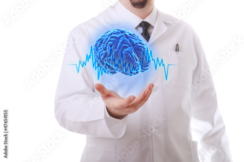 Photo: The human brain The human brain