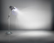 Vector: Standing lamp. Vector illustration. Standing lamp. Vector illustration.