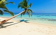 Tropical beach