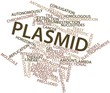 Word cloud for Plasmid