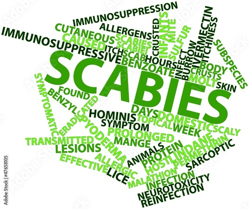 Illustration: Word cloud for Scabies Word cloud for Scabies
