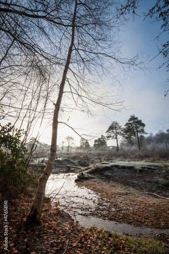 Photo: creek landscape in late autumn creek landscape in late autumn