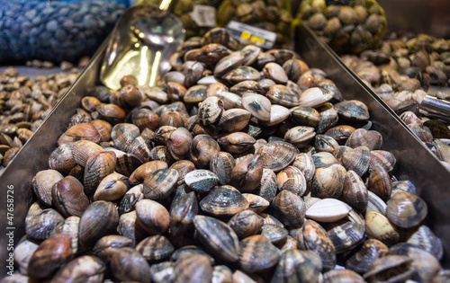 Photo: Clams at marketplace Clams at marketplace