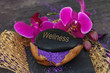 Wellness & Entspannung