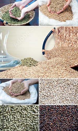 Photo: brewing ingredients barley malt, hop and water brewing ingredients barley malt, hop and water