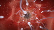 Inside the womb