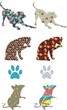 Animals