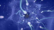 Inside the womb