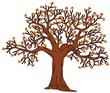 Tree with autumn leaves