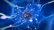 Inside the womb