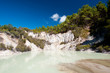 Geothermal Landscape - Rotorua, New Zealand