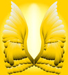 Golden Wings
