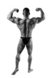 bodybuilder posing