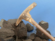 Kohlenstoff, Fossile Energie