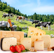 Formaggi Tipici Italiani