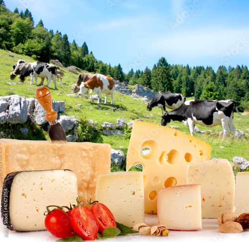 Photo: Formaggi Tipici Italiani Formaggi Tipici Italiani
