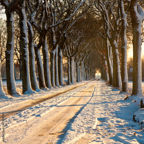Photo: Beatiful Winter Day Beatiful Winter Day