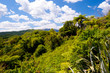 Lush Landscape near Rotorua, New Zealand