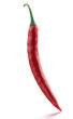 Red chili freshness from organic farm
